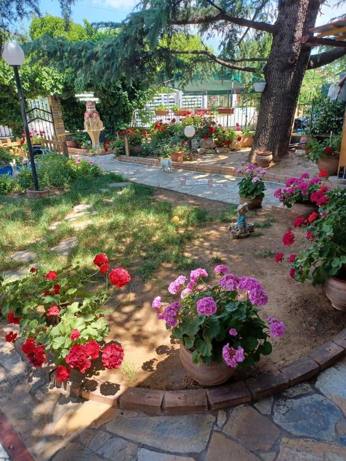 Handmade Peaceful Cozy House Near The Beach Nea Kallikrateia Buitenkant foto