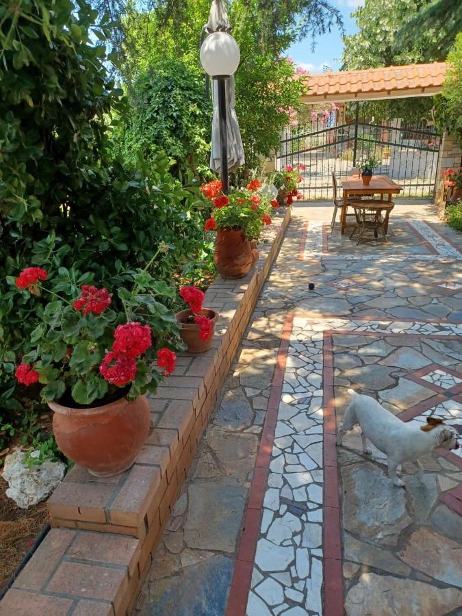 Handmade Peaceful Cozy House Near The Beach Nea Kallikrateia Buitenkant foto